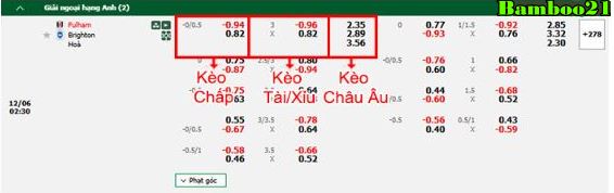  Phân tích chi tiết tỷ lệ kèo Fulham vs Brighton