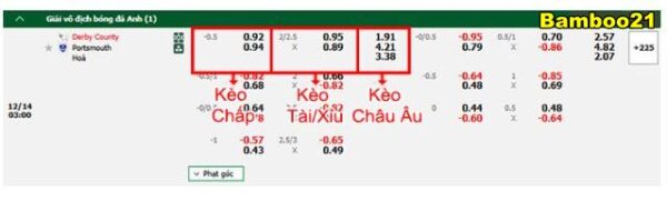 Dự đoán kèo chấp: chọn kèo Derby County