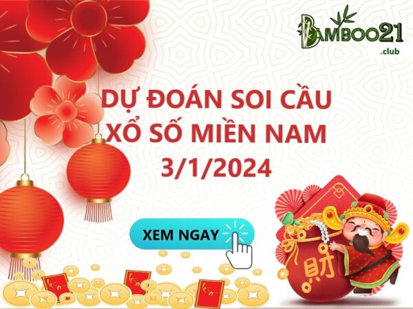 Soi Cầu XSMN 3/1/2025