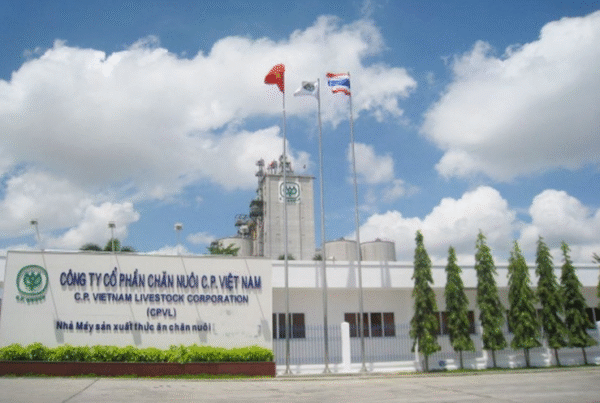 Doanh nghiệp chăn nuôi C.P. kinh doanh ra sao tại Việt Nam?