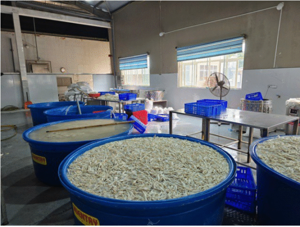 Thanh Hoá phát hiện hơn 13 tấn chân gà ngâm hóa chất tẩy trắng