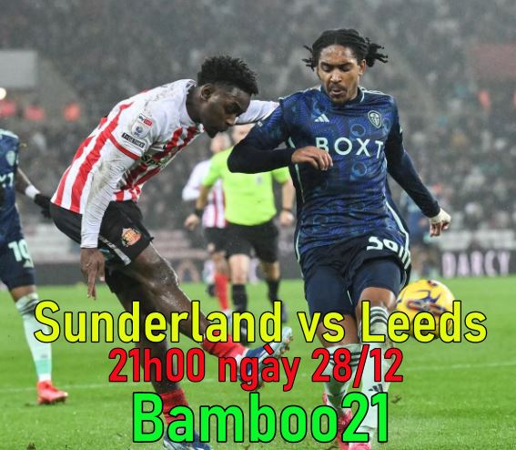 Nhận định, soi kèo Sunderland vs Leeds, 21h00 ngày 28/12